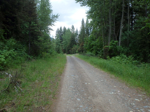 GDMBR: Southbound on NF-4370 (heading toward Richmond Peak, MT).